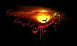 امام حسین(ع):
بدرستیکه شیعیان ما قلبشان از هر ناخالصی و حیله و تزویر پاک است.
