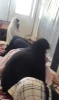 برگزاری نماز جماعت
