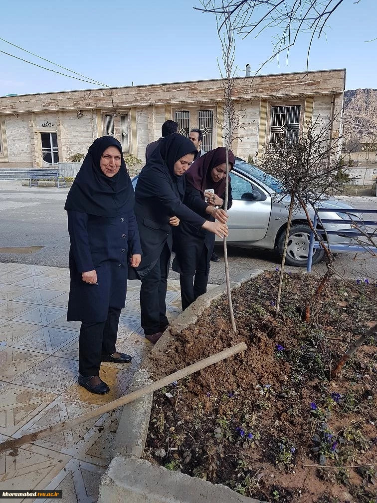 کاشت درخت درمحوطه دانشکده درروز درختکاری