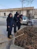کاشت درخت درمحوطه دانشکده درروز درختکاری