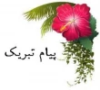 عرض تبریک  به مناسبت کسب مقام دوم 2
