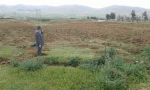 به زیر کشت رفتن چندین هکتار از زمین های آموزشکده فنی و حرفه ای دختران خرم آباد 3