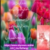 مراسم سخنرانی جشن ازدواج حضرت علی (ع) و حضرت فاطمه (س) 2