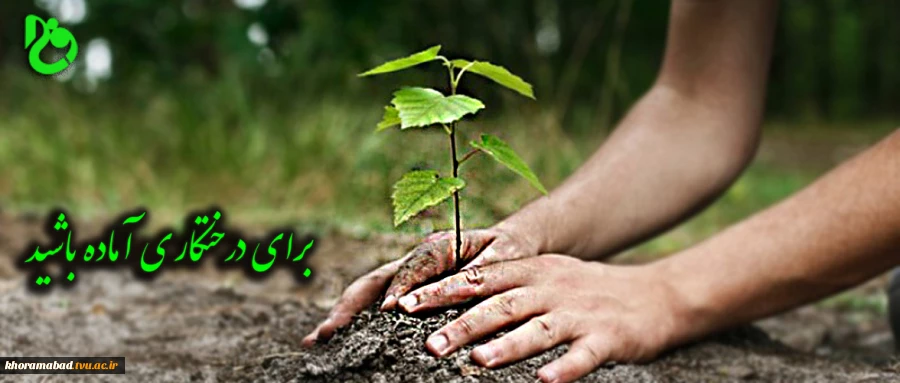 برای درختکاری آماده باشید 2