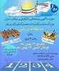 برگزاری مسابقات ورزشی کارکنان واساتید 2