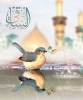 ولادت حضرت ابوالفضل العباس(ع) و روز جانباز گرامی باد  2