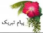 نویسنده برتر دانشگاه فنی و حرفه ای کشور 2