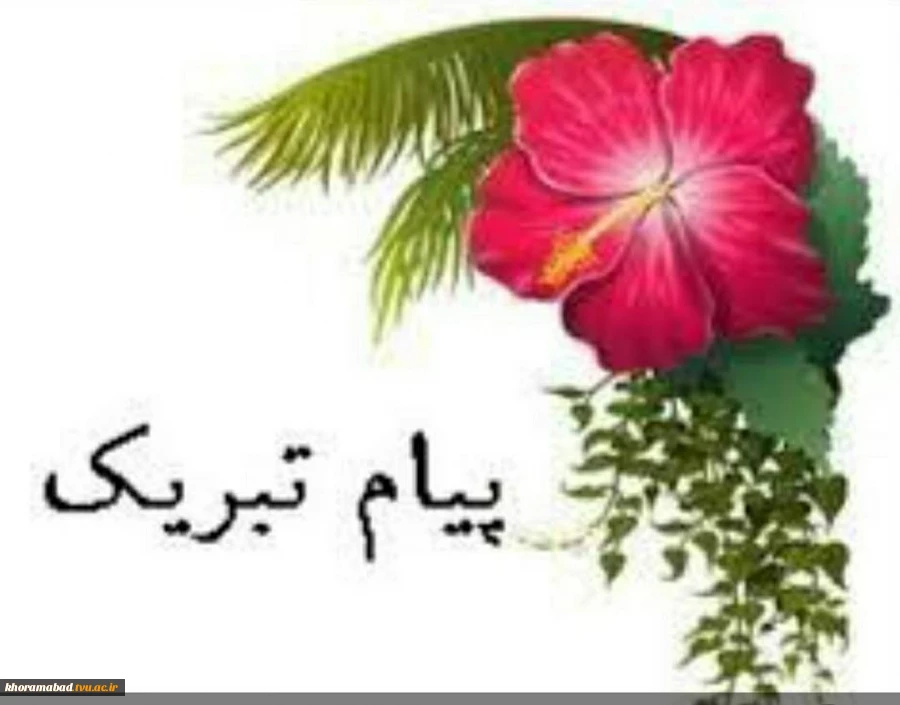 نویسنده برتر دانشگاه فنی و حرفه ای کشور 2