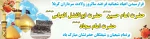 اعیاد شعبانیه و روز پاسدار بر عموم شیعیان جهان مبارک بارد. 2