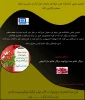 برگزاری جشنواره به مناسبت روز معلم 2