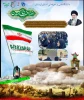اجتماع بزرگ جوانان نقش آفرین گام دوم انقلاب  2