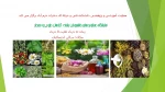 برگزاری نمایشگاه دستاوردهای دانشجویان رشته تولید و بهره برداری از گیاهان دارویی و معطر 2