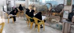بازدید علمی دانشجویان رشته فتوگرافیک از موزه حیات وحش آموزش و پرورش 3