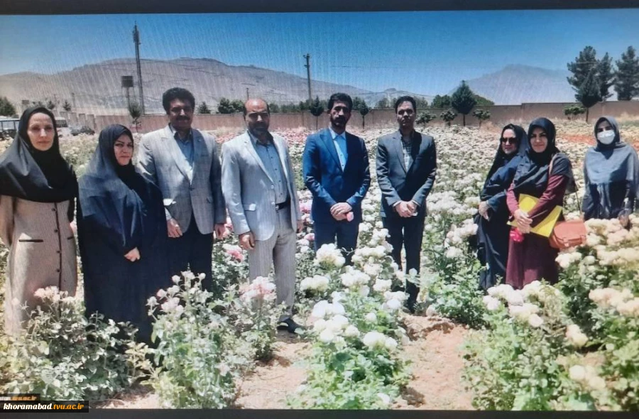 بازدید مدیر کل میراث فرهنگی، گردشگری و صنایع دستی استان لرستان 4