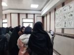 بازدید هنرستان های فنی و حرفه ای و کار و دانش شهرستان نورآباد از دانشکده ملی مهارت دختران خرم آباد 6