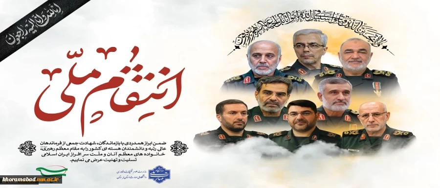 انتقام ملی 2