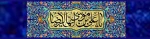 ولادت هشتمین اختر تابناک آسمان امامت و ولایت گرامی باد 2