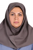 اعضای هیات علمی 2