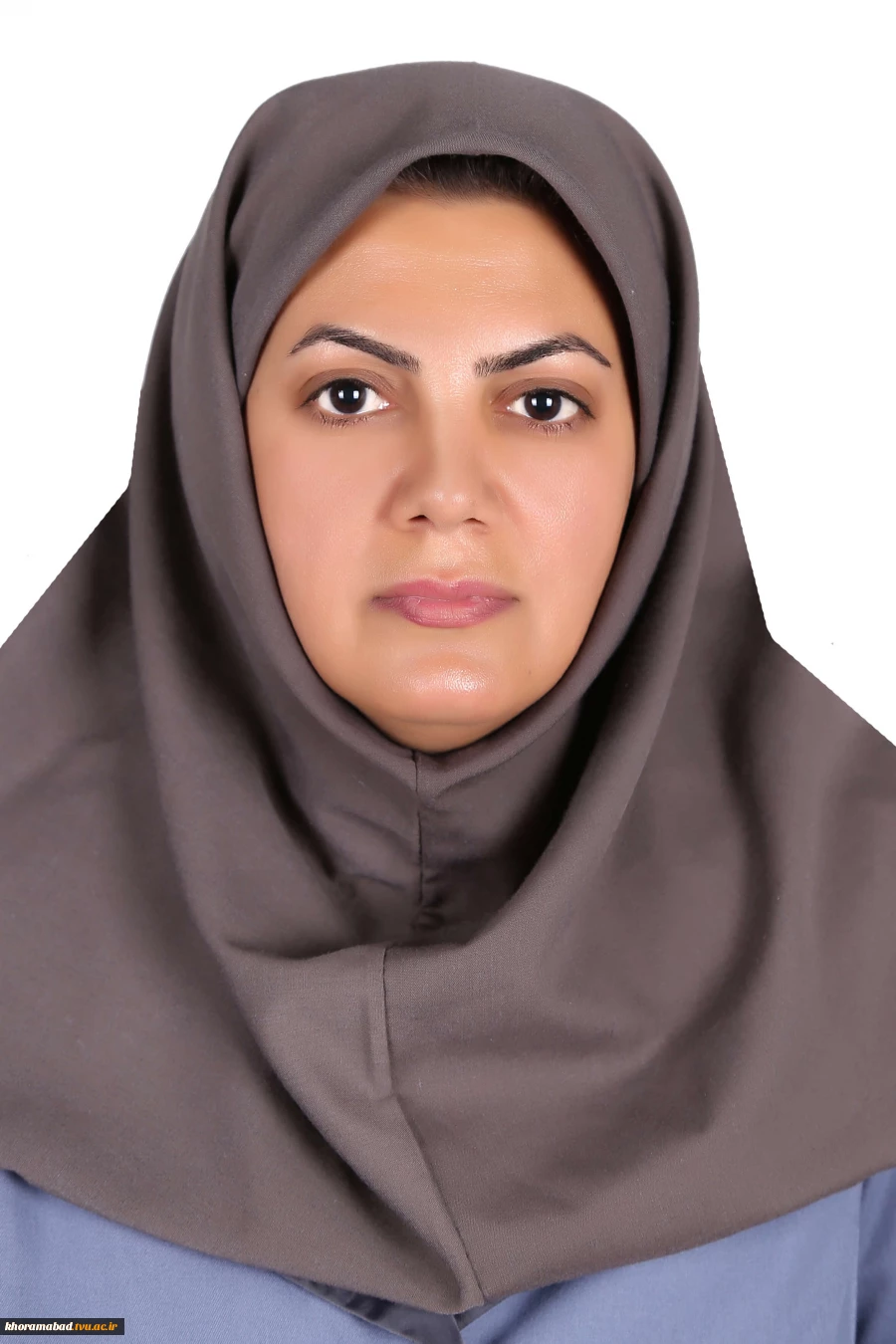 اعضای هیات علمی 2