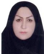 اعضای هیات علمی 3